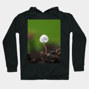 Slime mold under the microscope Hoodie